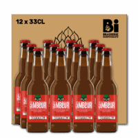 BOX Bozzzale ÂMBEUR (12x33CL)