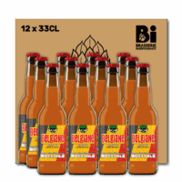 BOX Bozzzale BELGIANE (12x33CL)