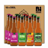 BOX Bozzzale "IPA" (12x33CL)