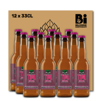 BOX Bozzzale TIPA (12x33CL)