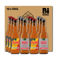 BOX Bozzzale "EURO" (12x33CL)
